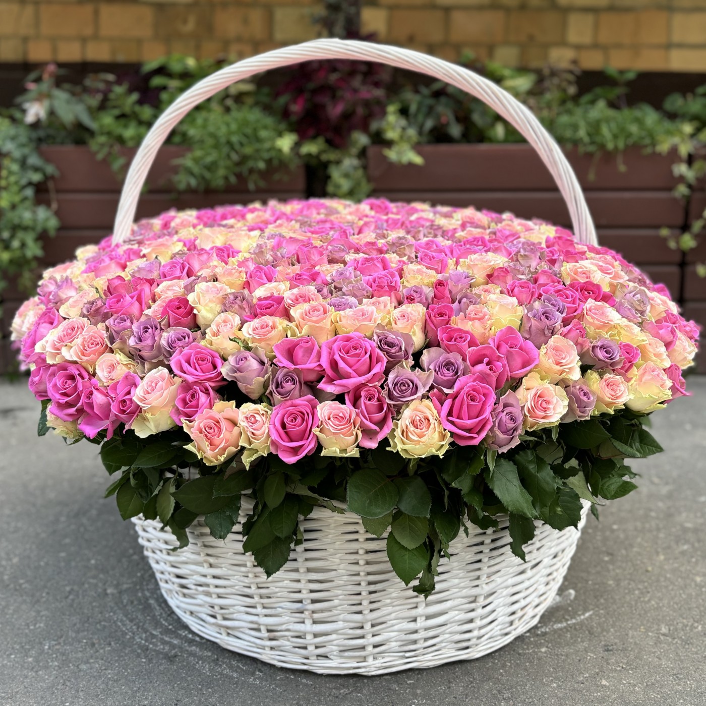 Корзина MIX из 501 розы