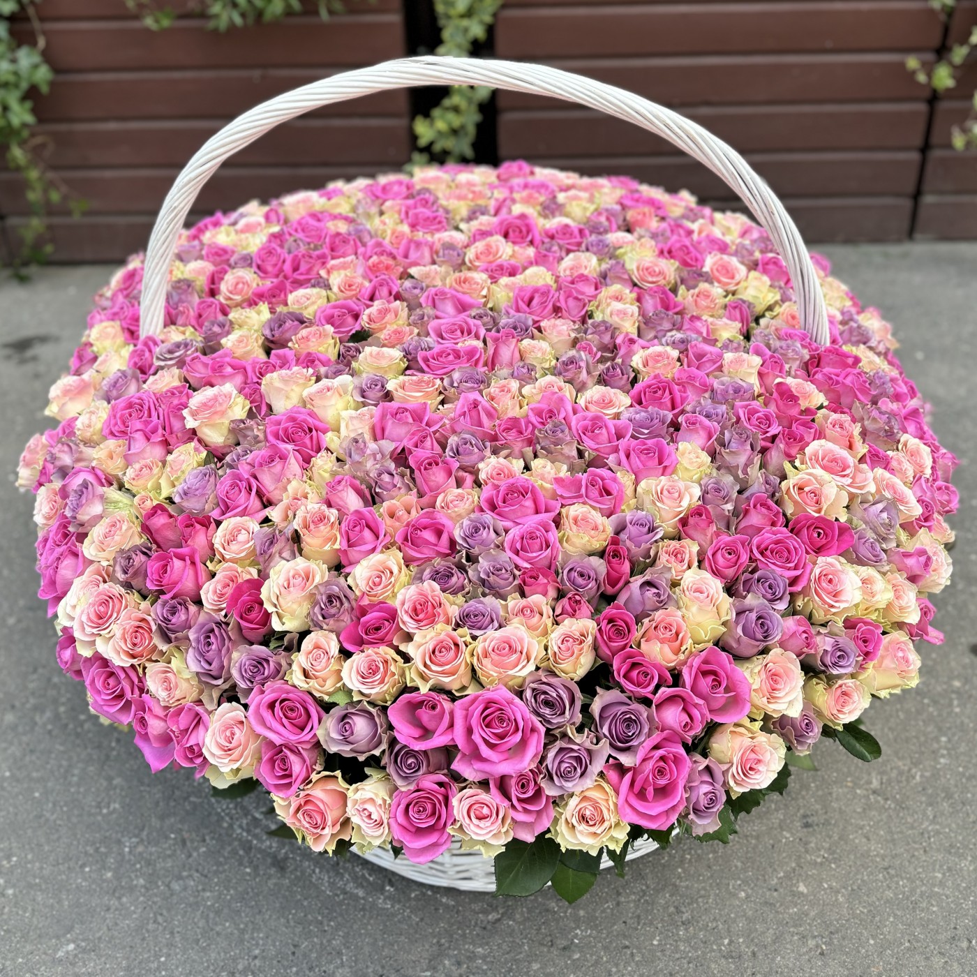 Корзина MIX из 501 розы